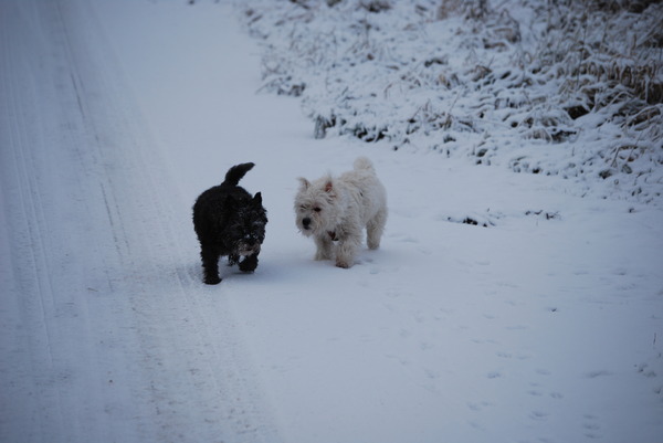 Hier zie je Chelsea en Amy in de sneeuw.