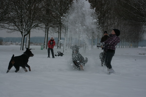 met z'n allen plezier in de sneeuw