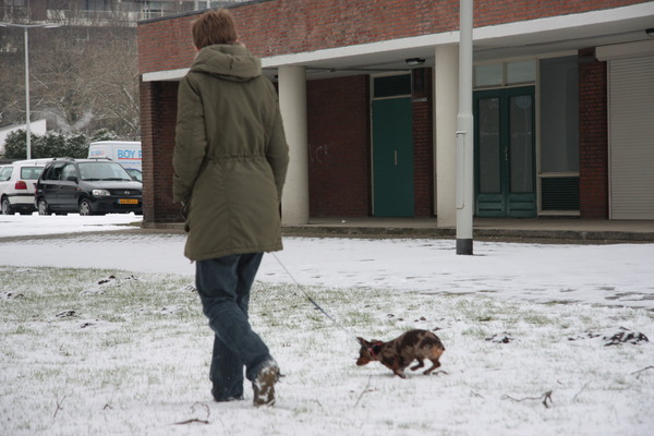 he saartje gaat aan de wandel