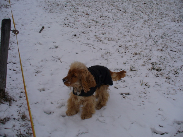 sneeuw, waar is er sneeuw, ik heb altijd een witte neus