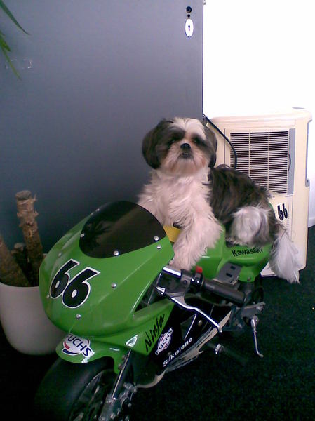 Max op zn eigen motor!