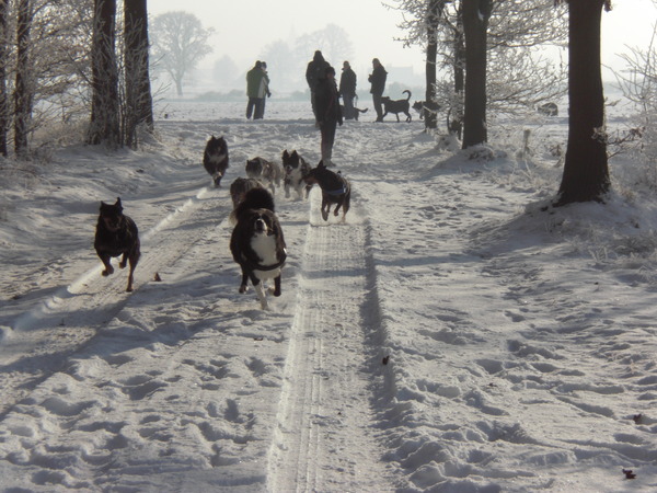 fijn zo'n wandeling in de sneeuw