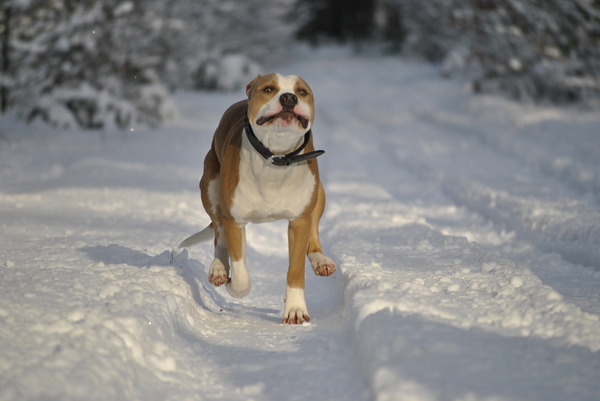 Rennen in de sneeuw!