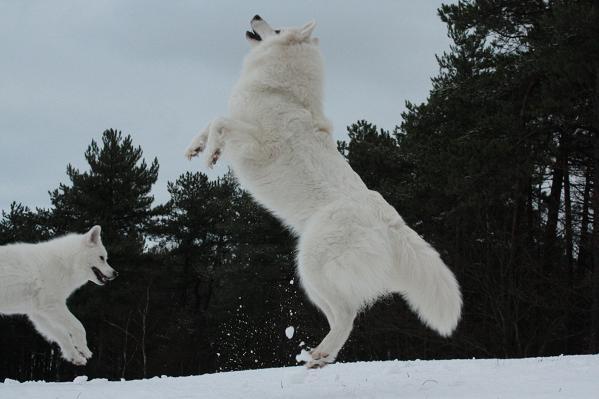 Voetjes van de vloer