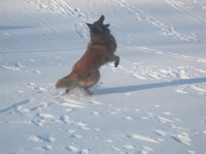 Fadia in volle actie !