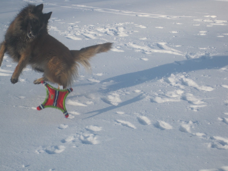 achterremmen zijn ok !