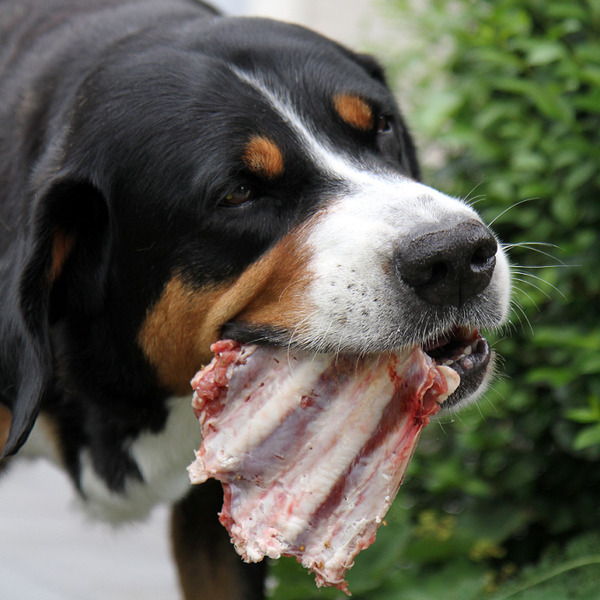 Ribbetjes, ik dacht schapenribben