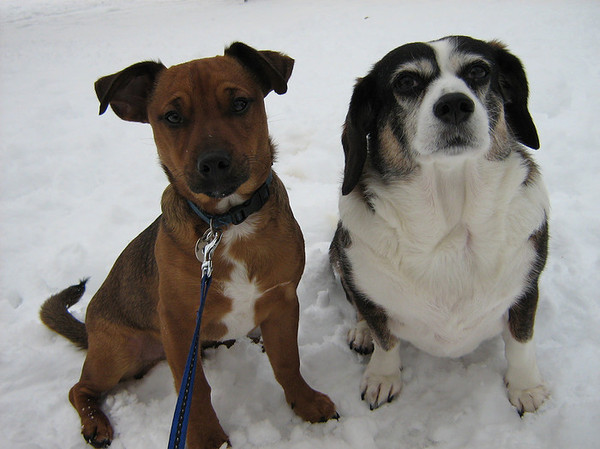 blije GIno en Charley