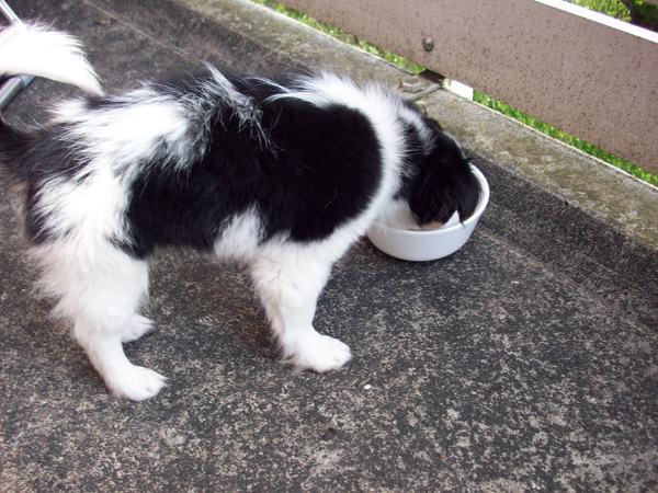 lekker buiten op et balkon aan et eten.. 