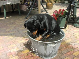 lekker in t bad...lekkerrrrrrrrrrr