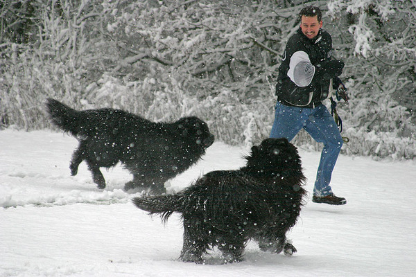 Lekker achter baas aan..