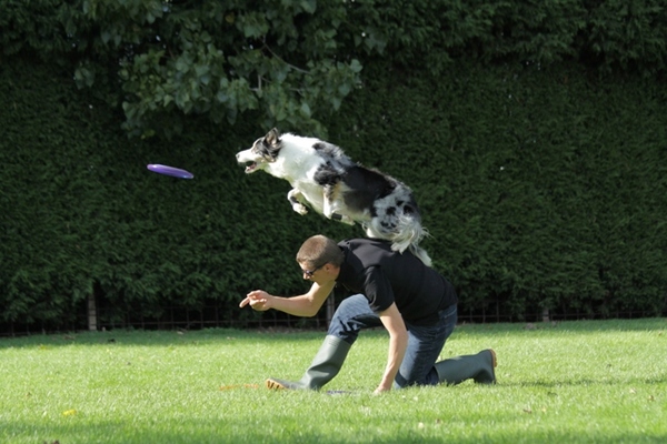 roy en joy op een dogfrisbee wedstrijd.