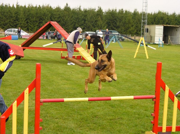 Agility met Milan