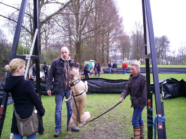 flirtpole