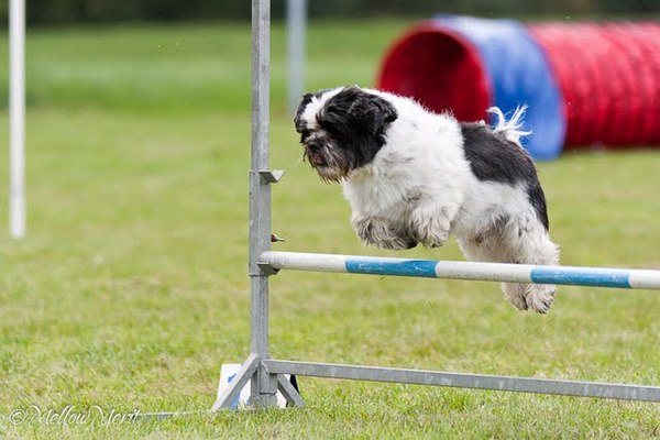 Boomer op ene wedstrijd!