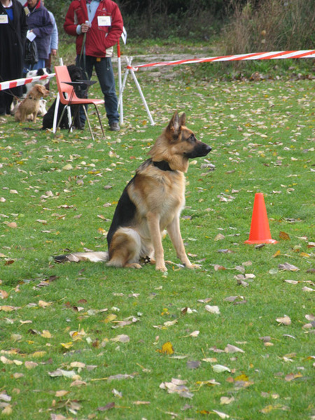 op afstand wachten op een commando