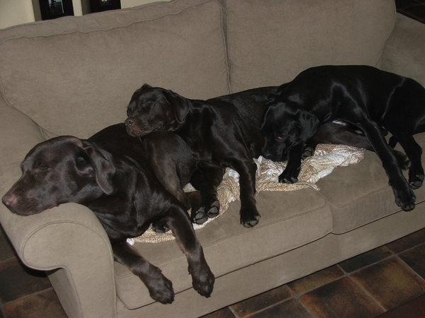 dit is onze bank!!!!!!!!!!!!!!!!!!!!!!