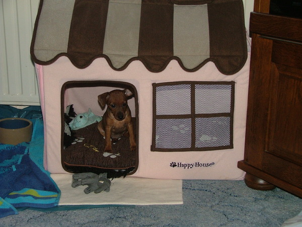 Zo lekker even in mijn huisje rusten gr Britney.