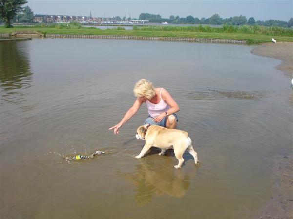 herplaatser noa wordt vertrouwd gemaakt met water 