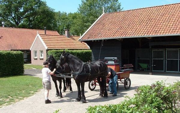 10 persoons vakantieboerderij nabij de bossen