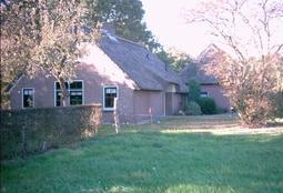Hondvriendelijke vakantiehuizen  in Drenthe