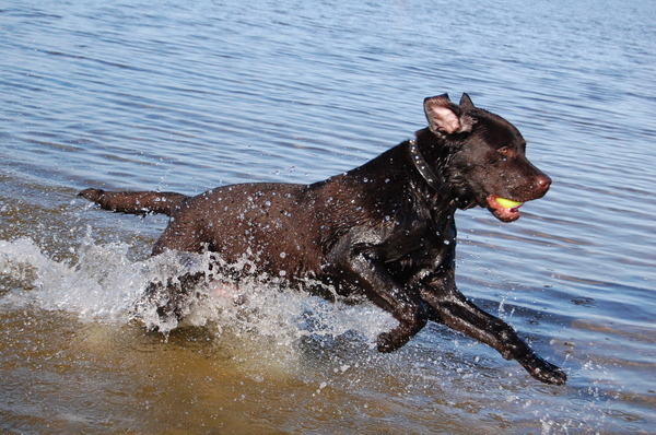 ik vindt het gewoon lekker