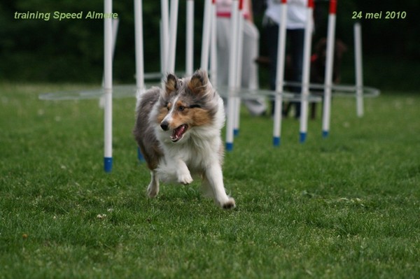 Diesel met Agility