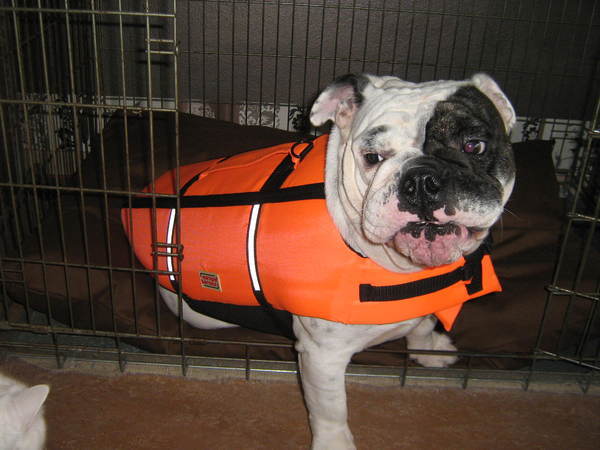 geen water in de buurt!