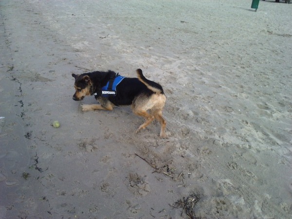 Spike op het strand