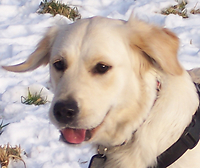 Luca :P