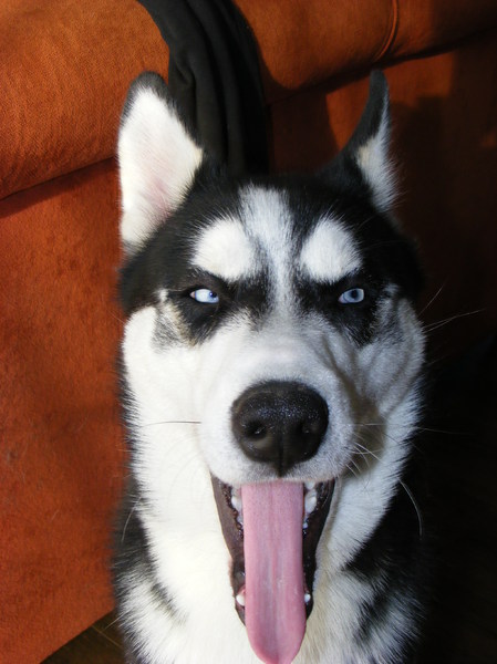 Ben ik niet moeders mooiste?