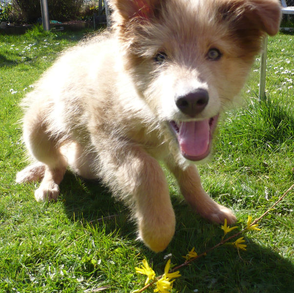 Even van dichtbij bekijken... 