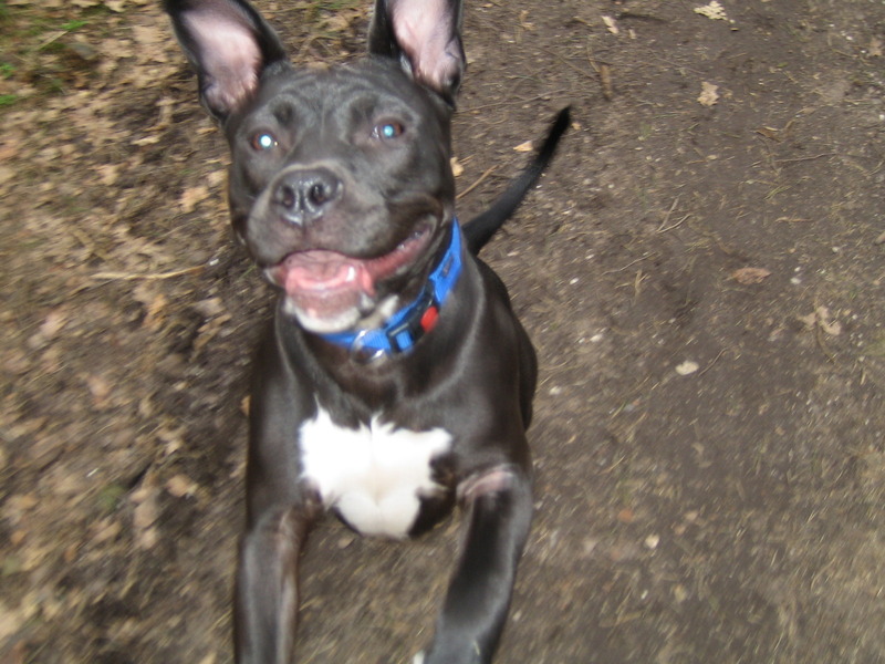 lana sprong tegen de camera 