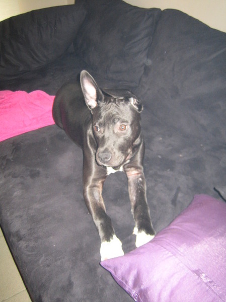 ik luister ..met 1 oor ;) 