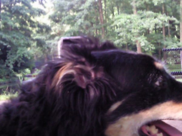 kaily Zit nou eens stil!