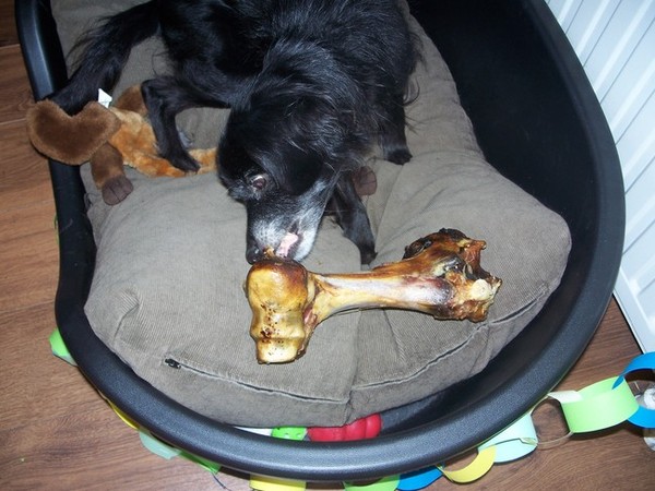 mmmmmmmmmmmmmmmmmmmmmmmmmientje