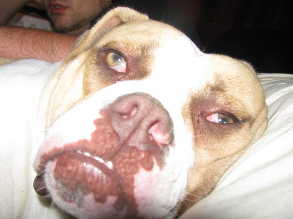 ons coco die wakker wordt