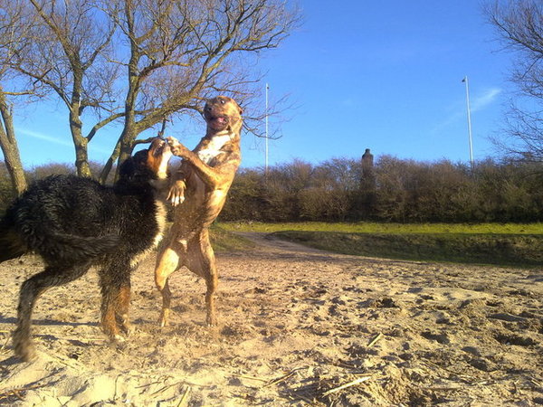 Ik wordt opgegeten!!! 