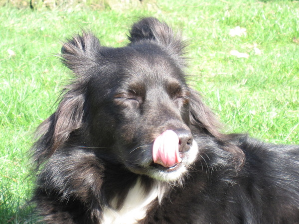 Nieuw trucje van Nara