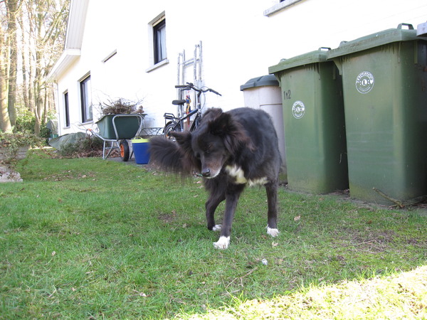 Oh, ik heb plots jeuk...