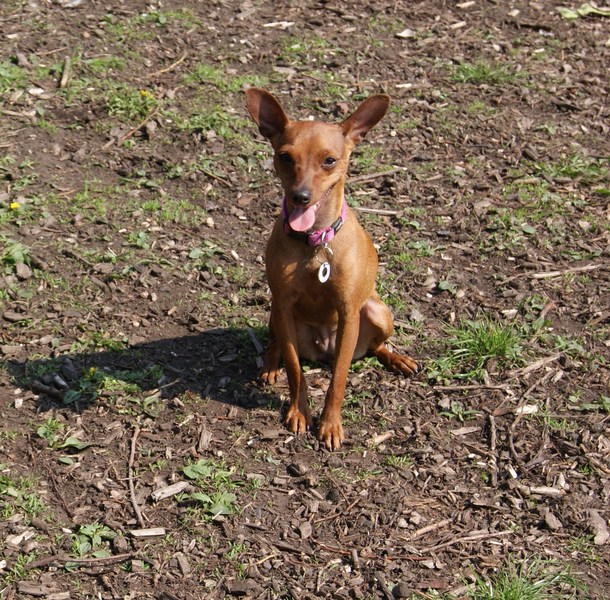 Dina heeft het warm.