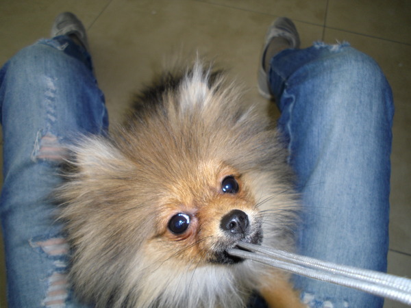 Hummer viel de camera aan