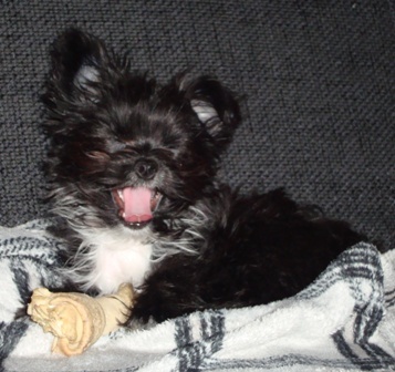 vervelend die camera