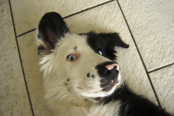 Doe je oor eens goed!