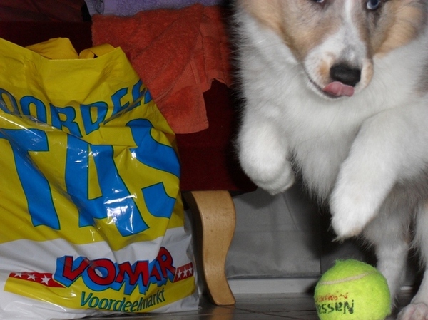 Scheef maar toch leuk