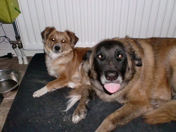 oeps niet de bedoeling