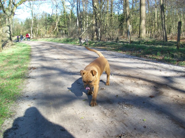 rambo steekt de tong uit