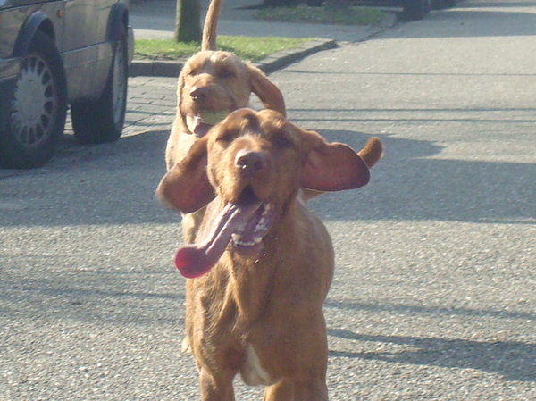 Wat een gekkerd <3 die Jeanas <3