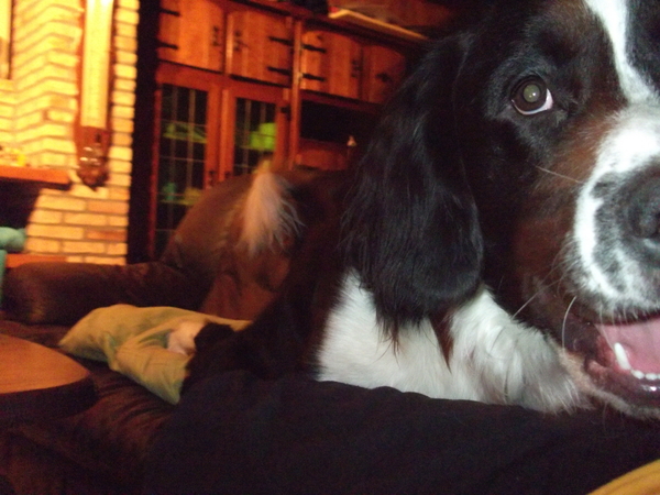 oeps ik zat niet stil ik moest lachen