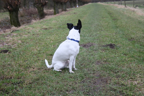 ik kijk lekker de andere kant op!